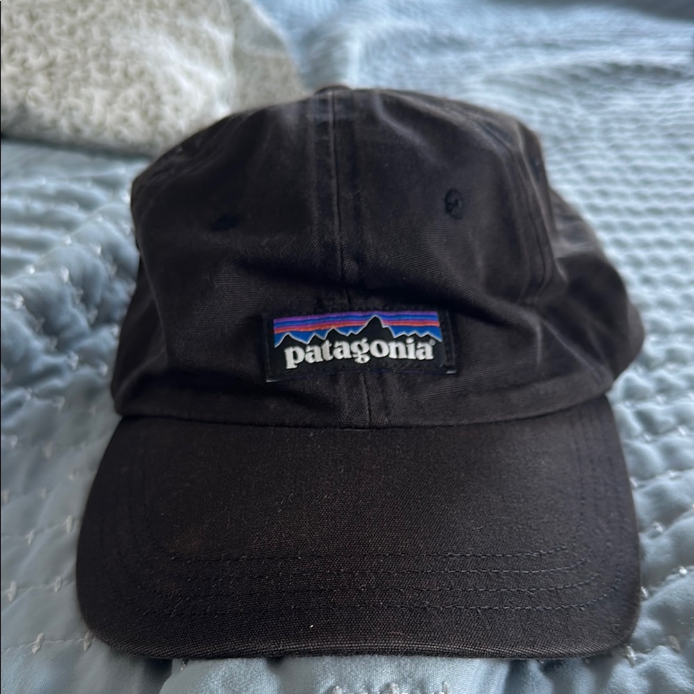 Patagonia Classic Black Baseball Cap